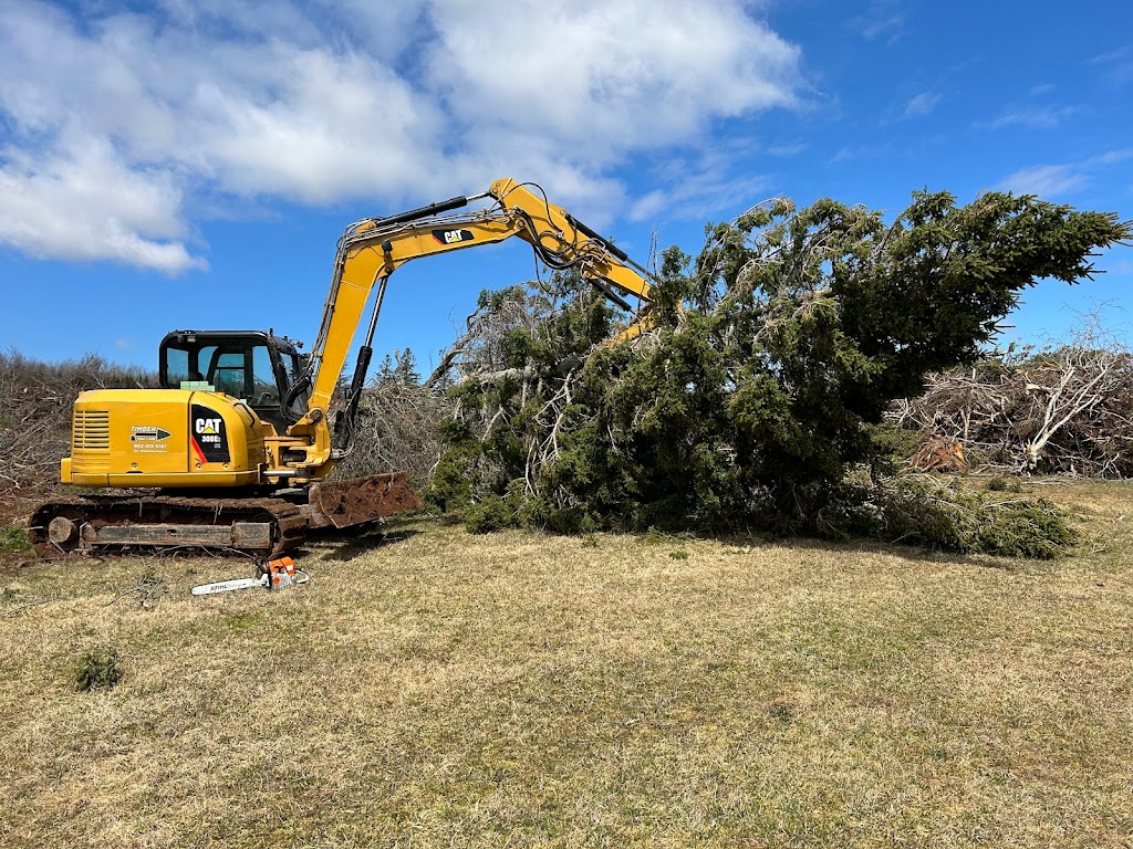 Timber Tree Care | 19506 rte 2, Hunter River, Charlottetown, PE C0A 1N0, Canada | Phone: (902) 213-5747