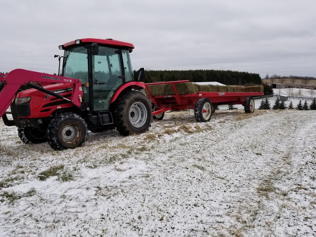 Stone House Farm Sales | 20511 Heart Lake Rd, Caledon Village, ON L7K 2A8, Canada | Phone: (416) 697-7792