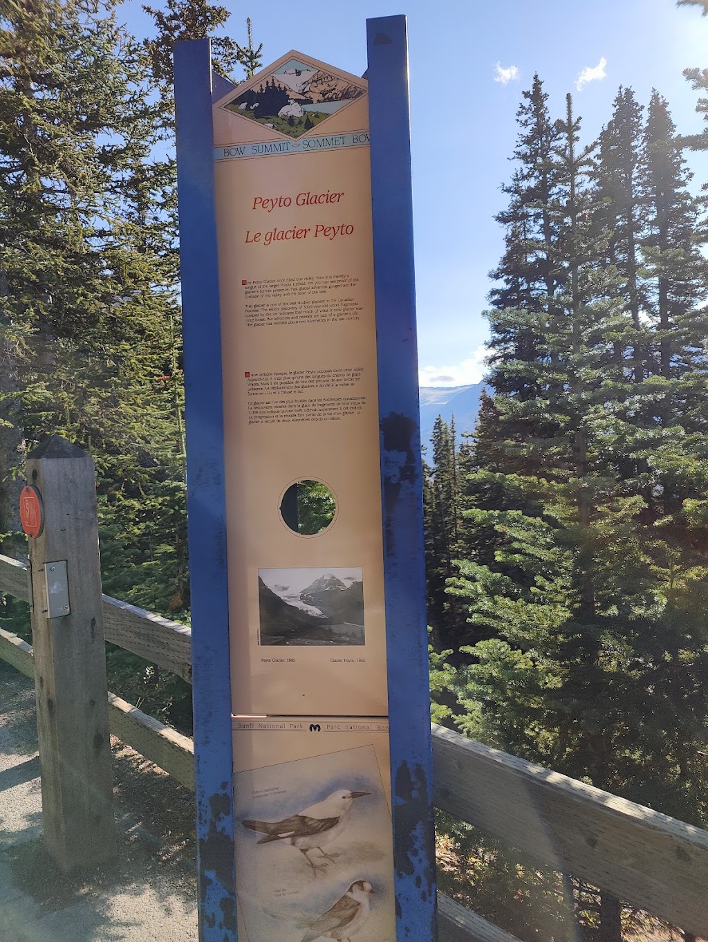 Peyto Lake | Peyto Lake, Improvement District No. 9, AB T0L, Jasper, AB T0L 1E0, Canada | Phone: (403) 522-3833