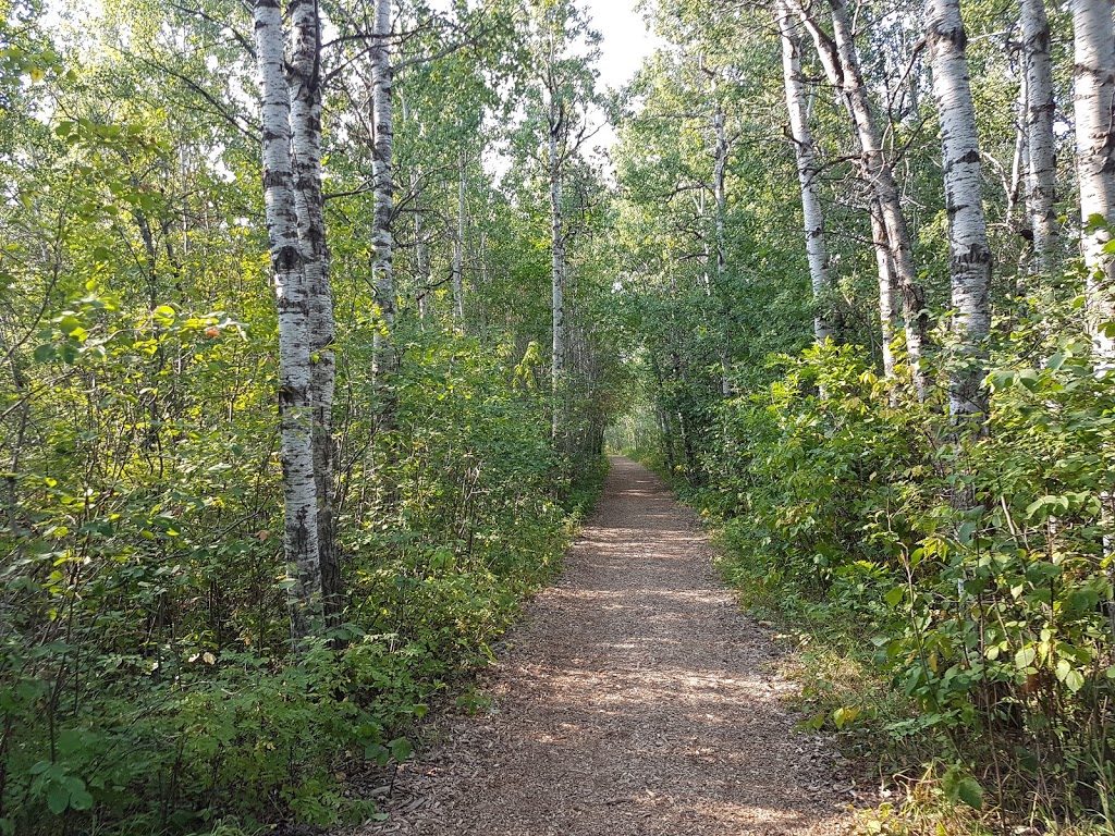 Assiniboine Forest | 55 Pavilion Crescent, Winnipeg, MB R3P 2N6, Canada | Phone: (204) 927-6000