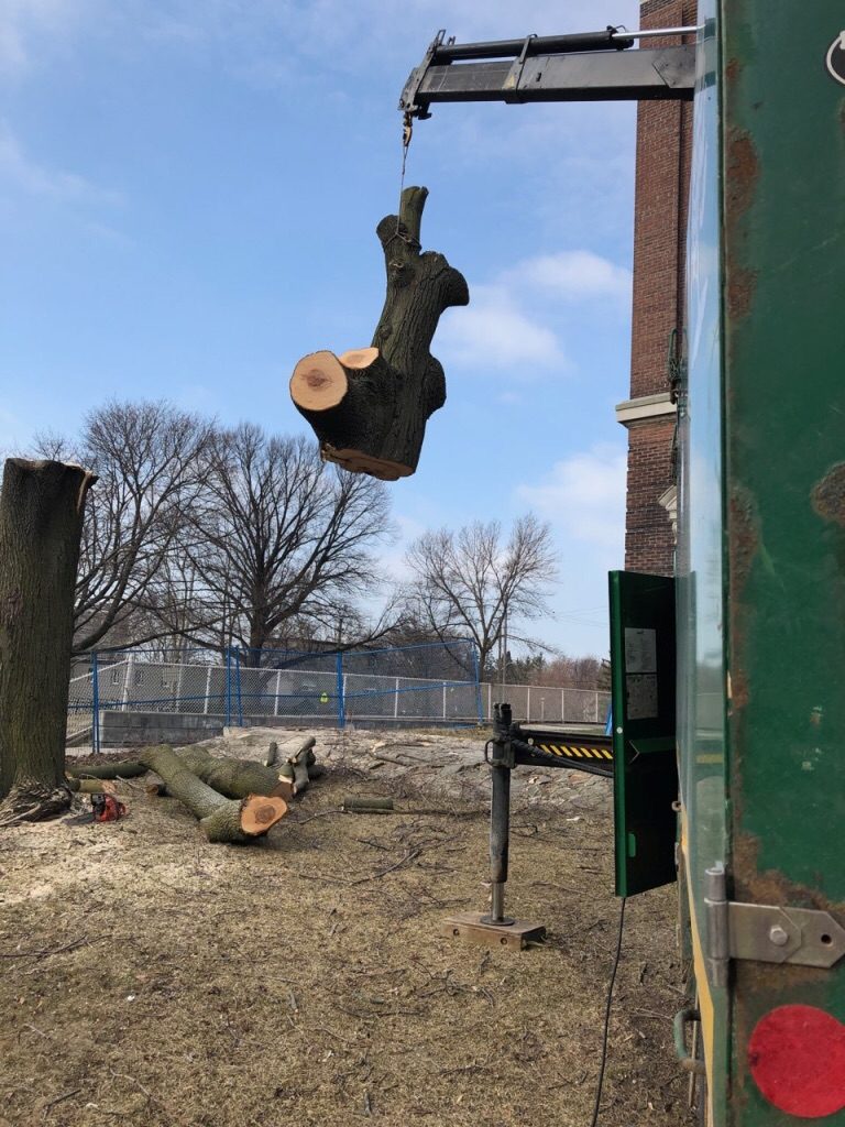 GTA Tree Removal | 119 Kirkvalley Crescent, Aurora, ON L4G 7R1, Canada | Phone: (647) 641-6881