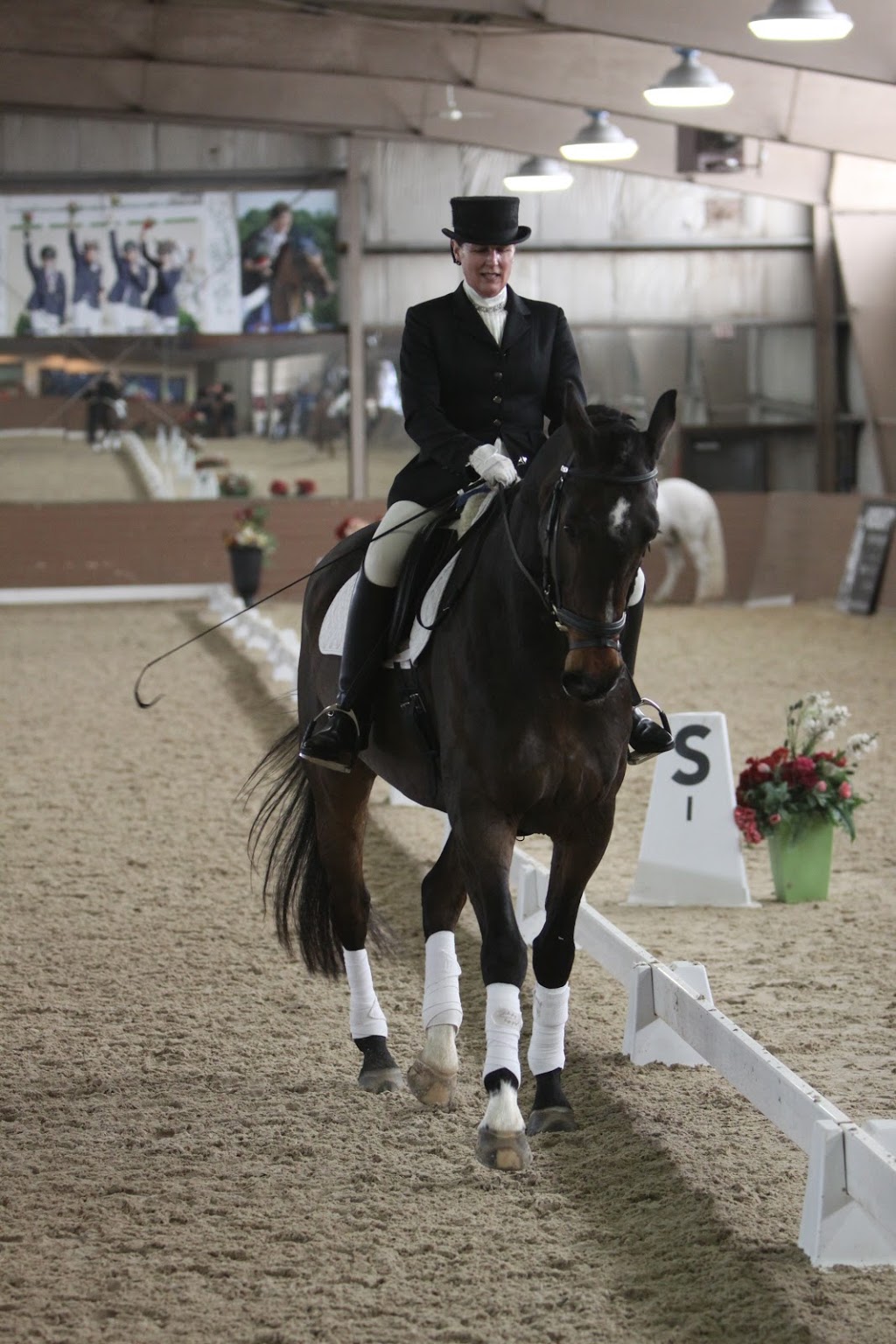 CalgaryDressage.com | 10927 Willowglen Pl SE, Calgary, AB T2J 1R8, Canada | Phone: (403) 968-5455