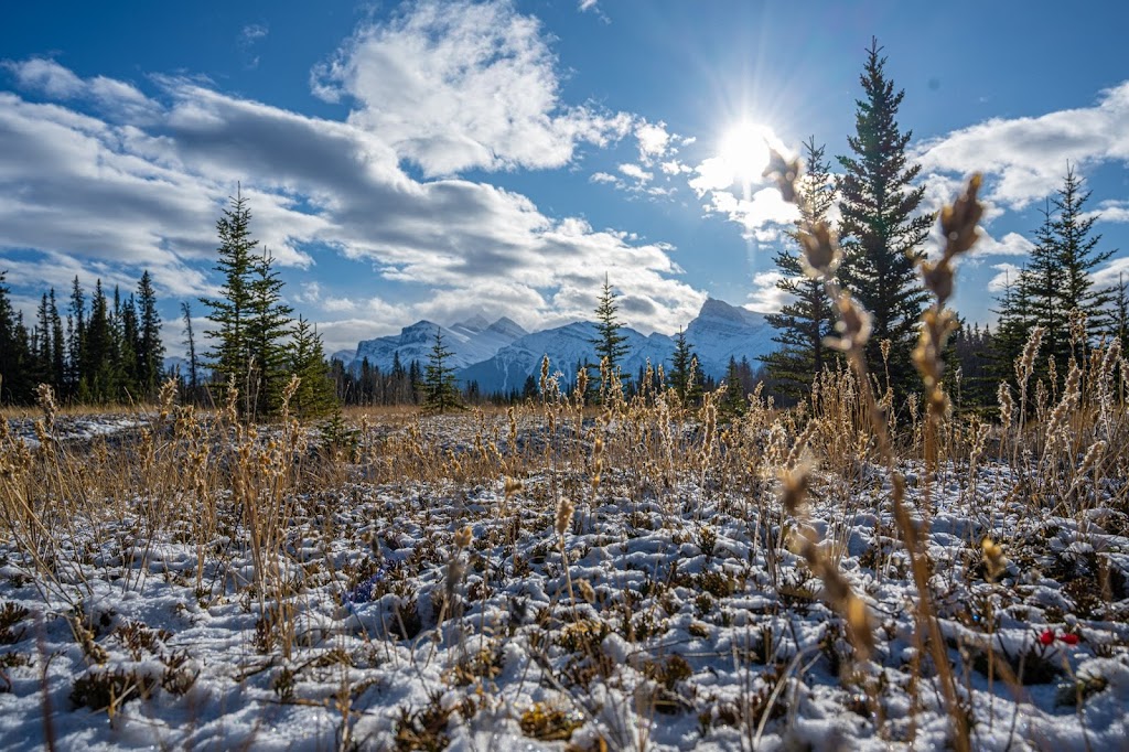 Alex Bates Photography | 5336 60 St, Rocky Mountain House, AB T9E 0S5, Canada | Phone: (306) 261-6135