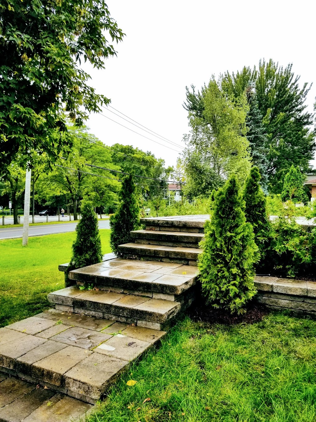 Ascension Arboriculture Elagage | 5941 Rue Lakeview, Rawdon, QC J0K 1S0, Canada | Phone: (514) 686-8011