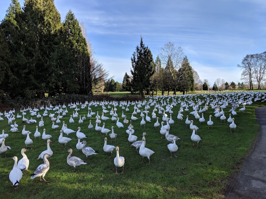 McCleery Driving Range | 7188 Macdonald St, Vancouver, BC V6N 1G2, Canada | Phone: (604) 264-9580