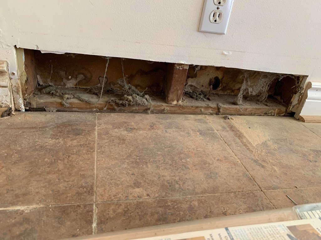 Ontario Steam Carpet & Duct Cleaning Windsor | 704 Newport Crescent, Windsor, ON N9E 4Z6, Canada | Phone: (519) 250-4456