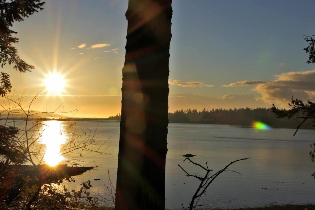 Saanichton Bay Park | Central Saanich, BC V8M 2C1, Canada