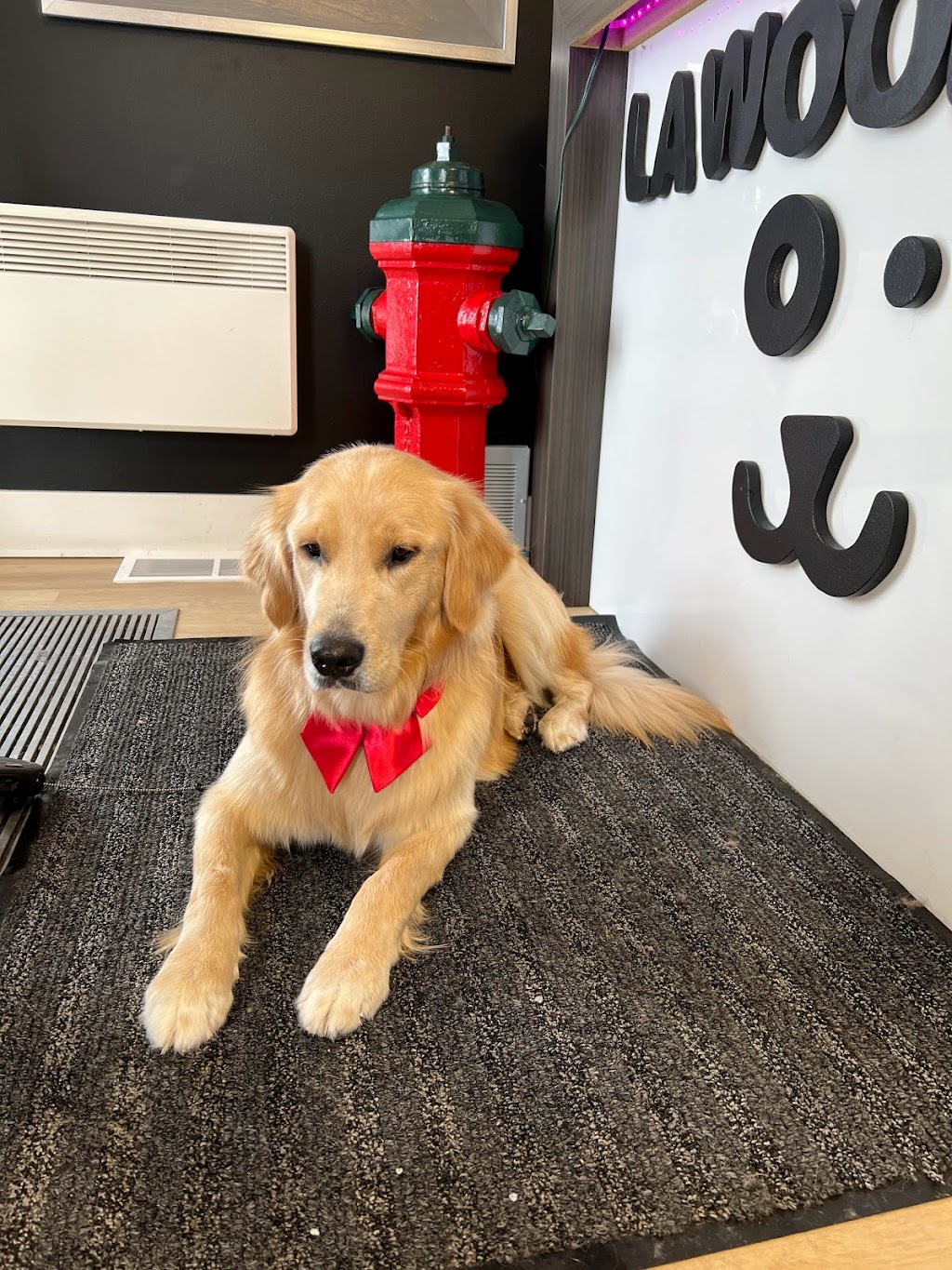 La wooferie spa canin | 329 Rue du Plateau, Sainte-Martine, QC J0S 1V0, Canada | Phone: (514) 246-4940
