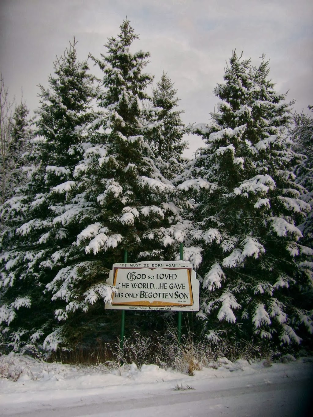 Mount Forest Camp | 144055 Southgate Township 14 Road, NO MAIL SERVICE TO CAMP, Southgate, ON N0G 2A0, Canada | Phone: (519) 334-3793