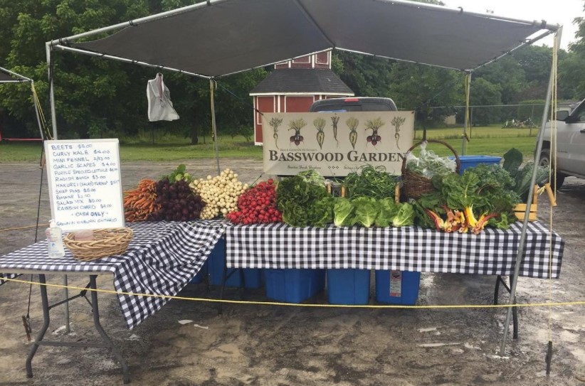 Basswood Garden | RR1, Kinburn, ON K0A 2H0, Canada | Phone: (613) 790-4584