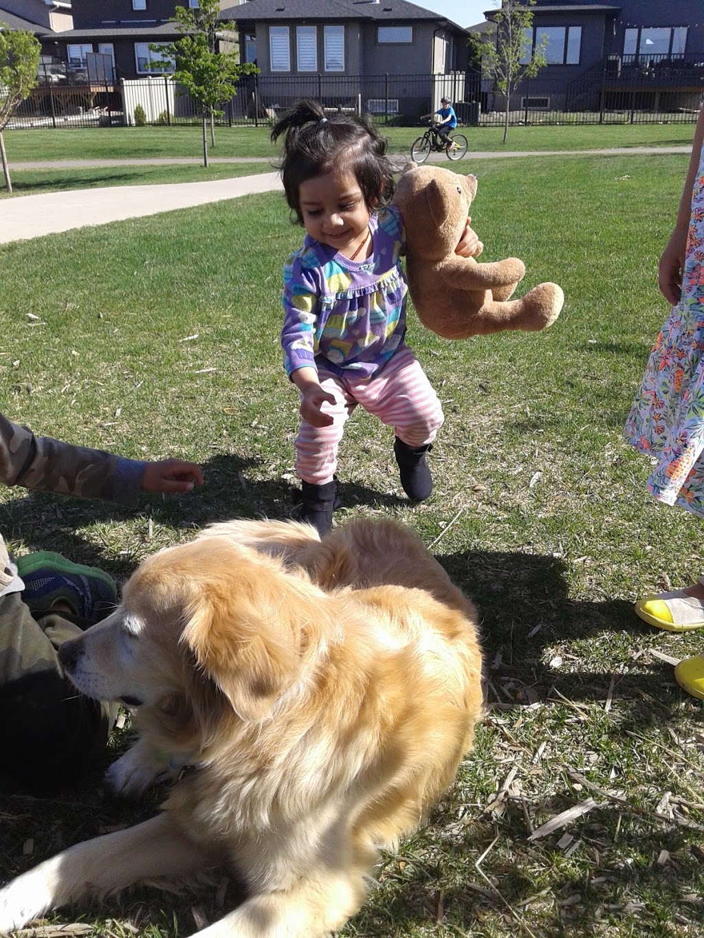 Havilland Park | Tutor Way, Regina, SK S4W 0G4, Canada | Phone: (306) 777-7000