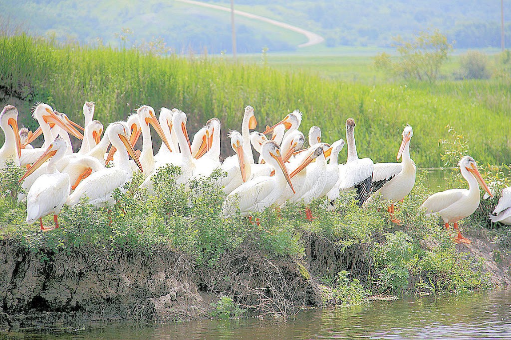 South Katepwa RV Park | Indian Head No. 156, SK S0G 2K0, Canada | Phone: (306) 525-1381