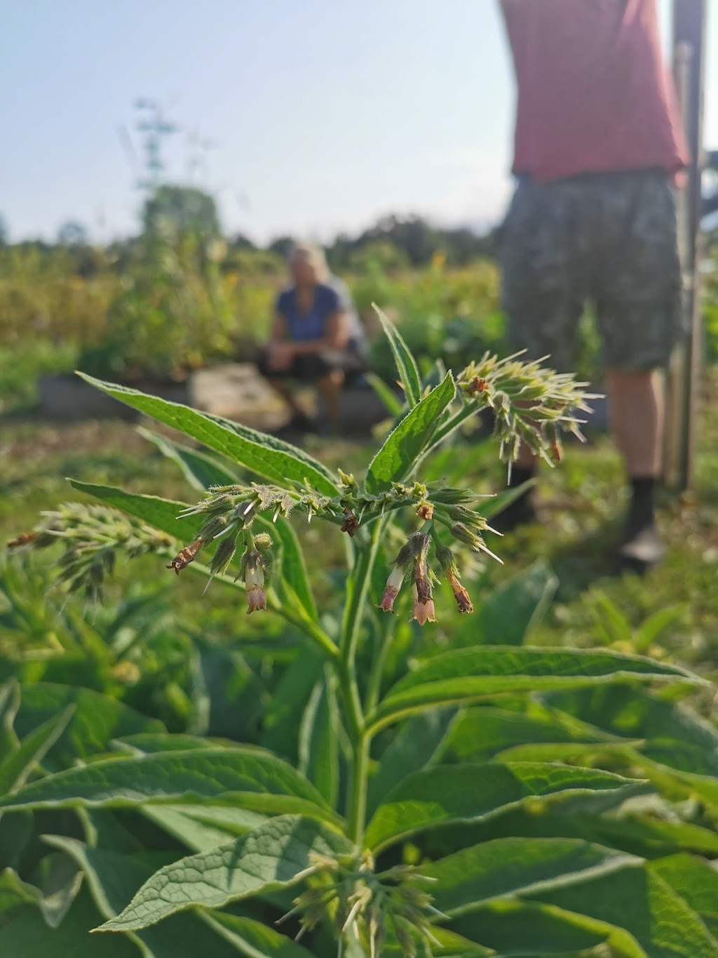 Cowichan Farm & Food Hub | 2431 Beverly St, Duncan, BC V9L 3A1, Canada | Phone: (250) 597-8200
