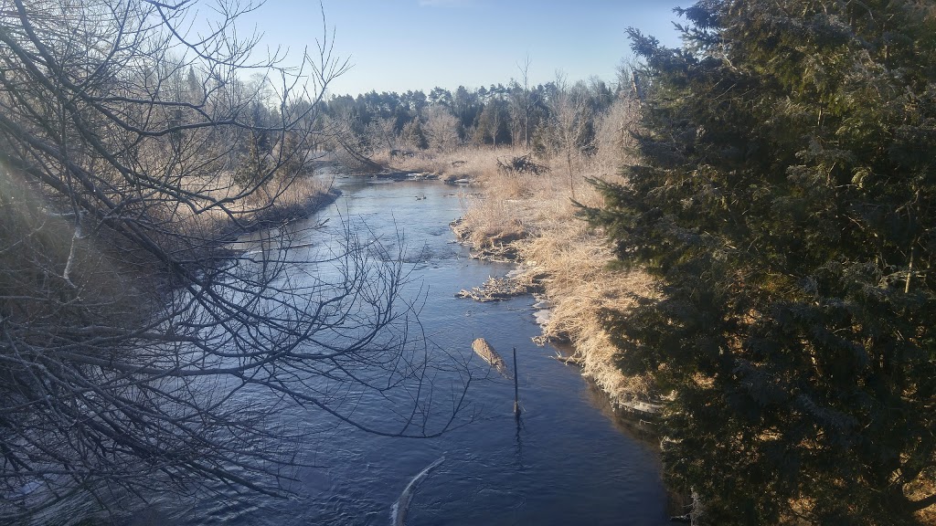 Grange Public Land | 32 Cardwell St, Alton, ON L7K 0E2, Canada