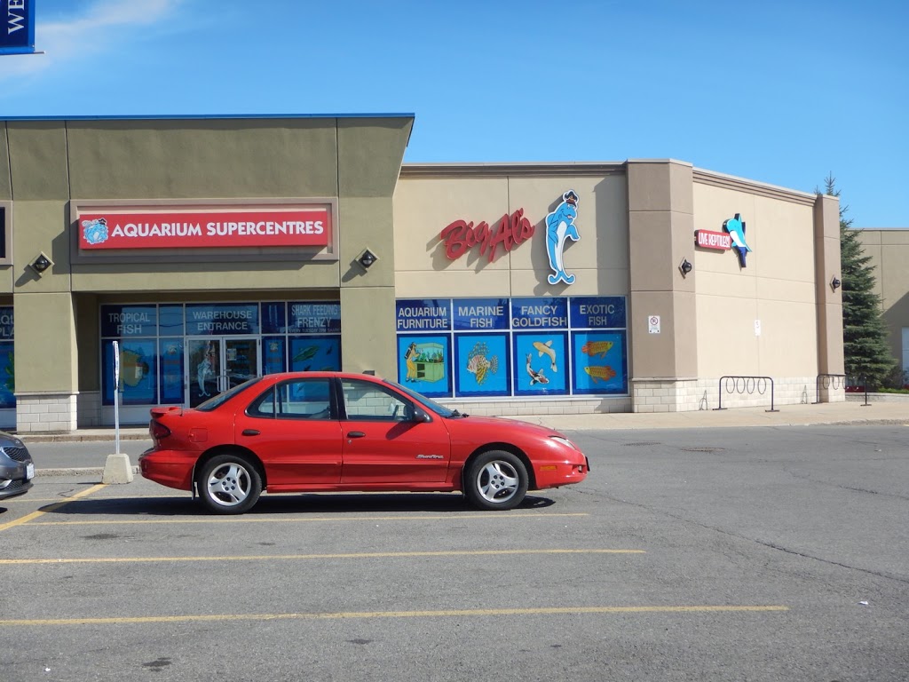 Big Als Aquarium Supercentres - Ottawa | 1900 Innes Rd, Gloucester, ON K1B 3K5, Canada | Phone: (613) 244-3474