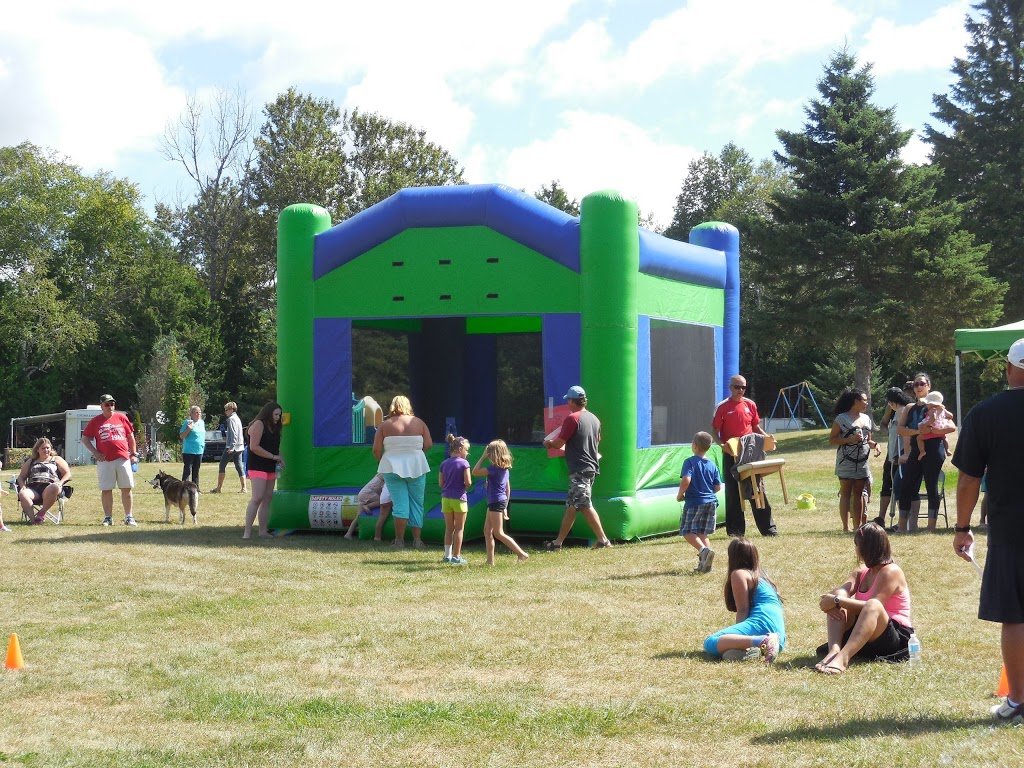 Ponderosa Campground | 19332 ON-48, Mount Albert, ON L0G 1M0, Canada | Phone: (905) 473-2607