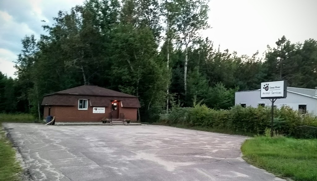 Deep River Animal Services | 33202 ON-17, Deep River, ON K0J 1P0, Canada | Phone: (613) 584-2252