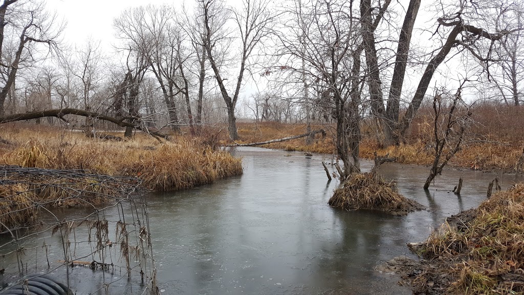 Fish Creek Provincial Park | Calgary, AB, Canada | Phone: (403) 297-5293