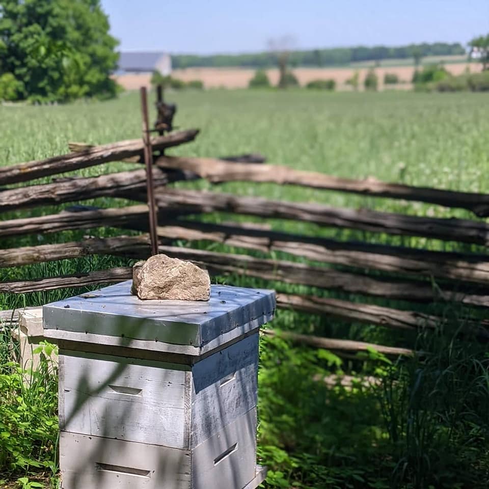 Treefall Bee Yards | 112326 Grey Road 3, Neustadt, ON N0G 2M0, Canada | Phone: (647) 390-2053