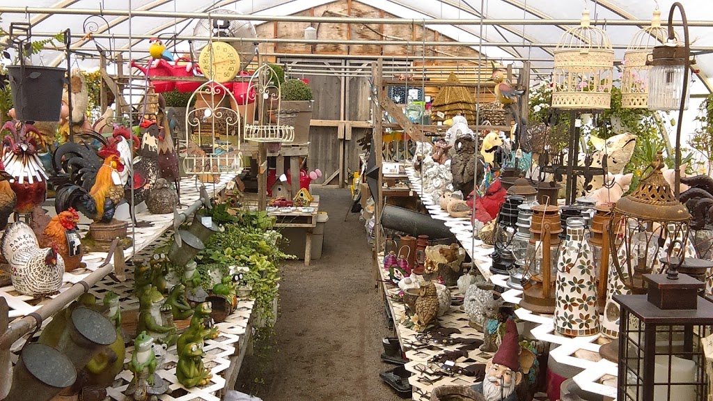 Perennials The Valley | 1960 Chemin New Erin, Godmanchester, QC J0S 1H0, Canada | Phone: (450) 801-8165