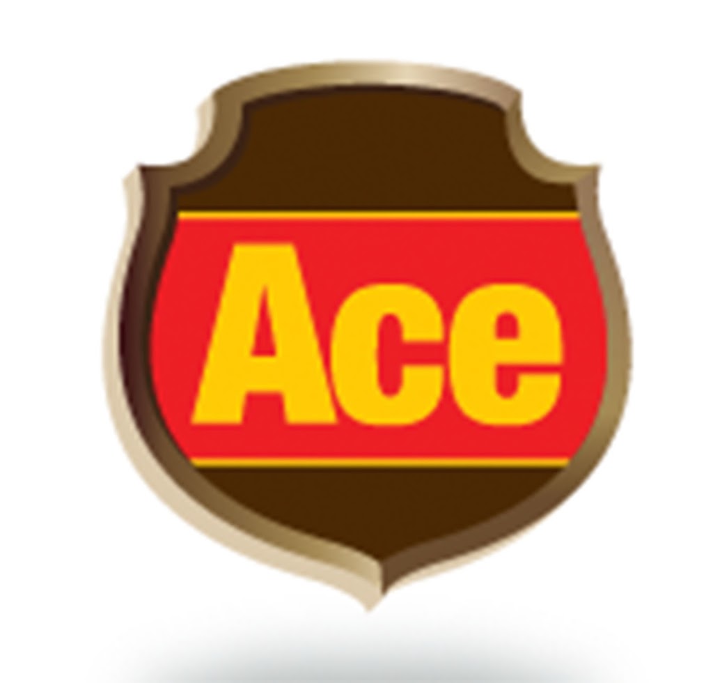 Ace Self Storage | storage | 249 Westbrook Rd, Carp, ON K0A 1L0, Canada | 6138364915 OR +1 613-836-4915