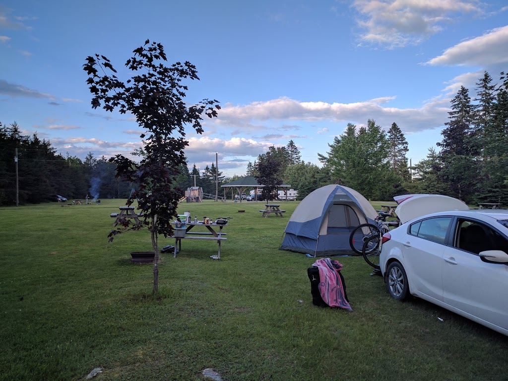 Miramichi Treehouse & Camping Adventures | 116 N Black River Rd, Black River Bridge, NB E1N 5S4, Canada | Phone: (506) 773-6252