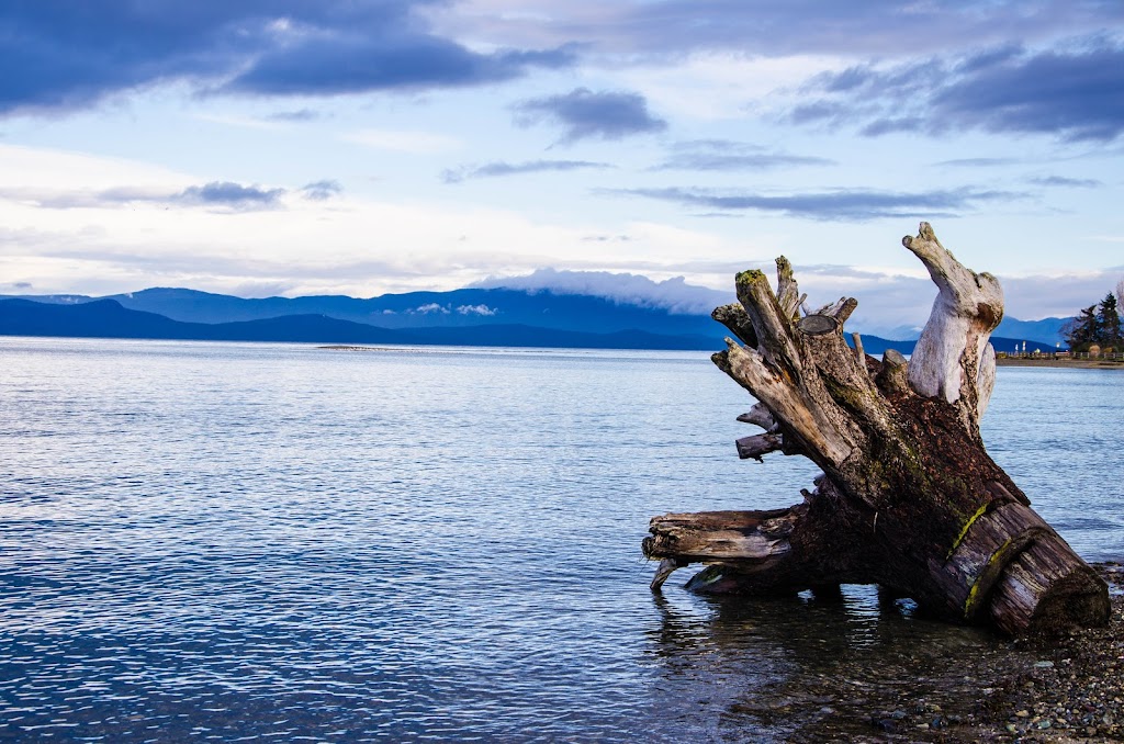 Karen Roberts Royal Lepage Parksville-Qaulicum Beach | 173 Island Hwy W, Parksville, BC V9P 2H1, Canada | Phone: (250) 248-7612