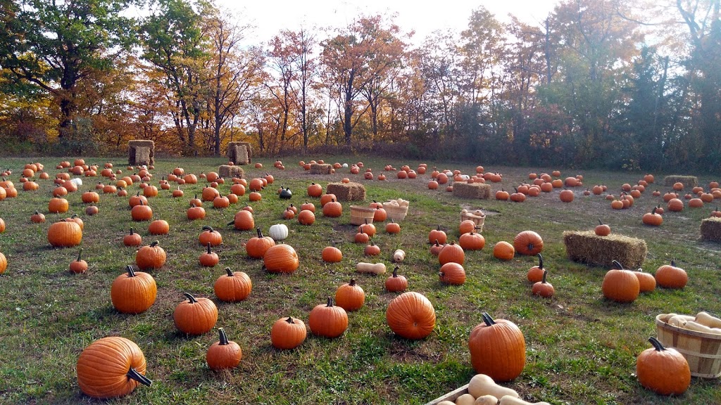 Vista Trail Trailhead | 1749 Meadowvale Rd, Scarborough, ON M1B 5W8, Canada | Phone: (416) 264-2020