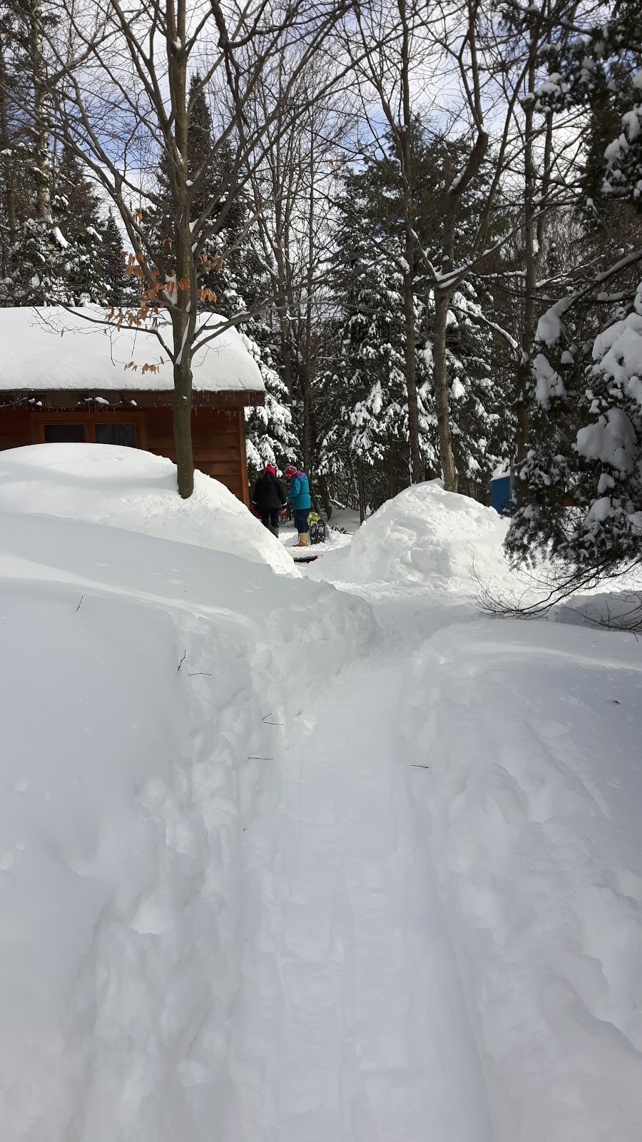 Chalet Far Hills | 5966 Chemin du Lac-La Salle, Val-Morin, QC J0T 2R0, Canada | Phone: (819) 322-2834