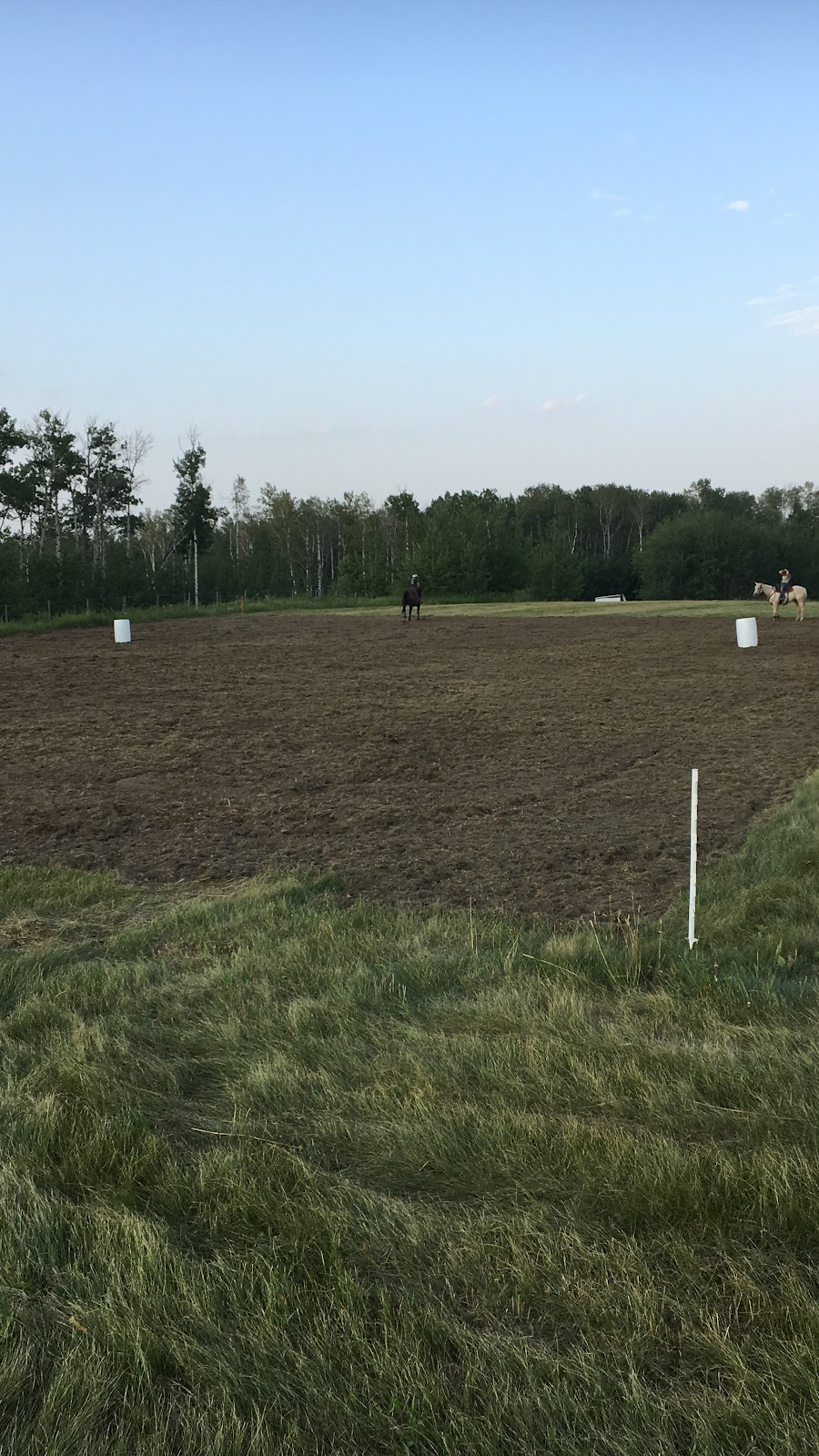 Spark Performance Horses | 28022 Twp Rd 545, Calahoo, AB T8R 2C1, Canada | Phone: (780) 994-2996