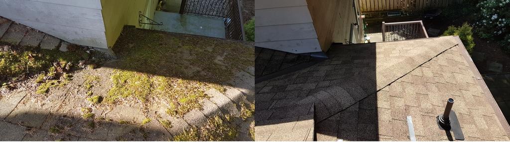 McMartin Roofing | 12470 57a Ave, Surrey, BC V3X 2S6, Canada | Phone: (604) 592-0130