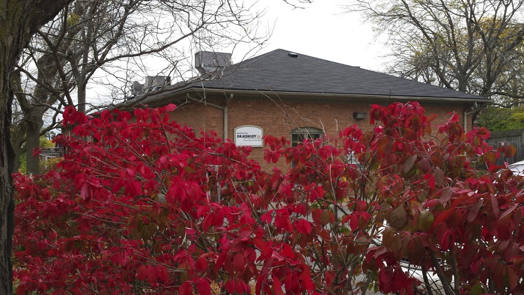 Harbourside Dental | 17 Lock St, St. Catharines, ON L2N 5B6, Canada | Phone: (905) 937-1515