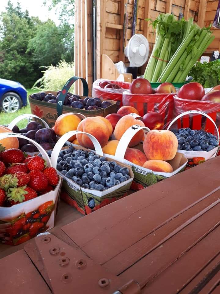 Le Potager de Francoise | 1841 Principale St, Chute-à-Blondeau, ON K0B 1B0, Canada | Phone: (450) 612-4746