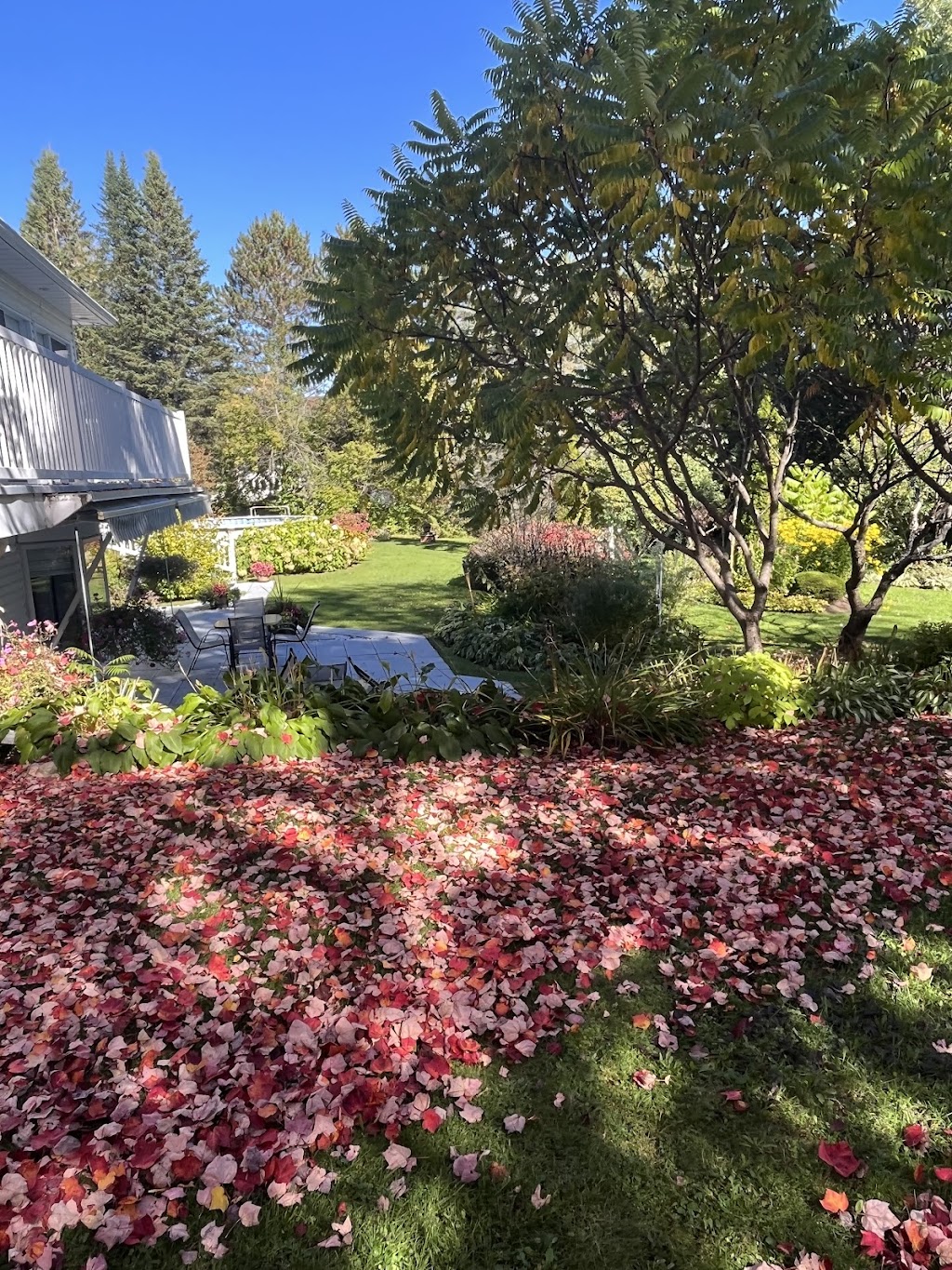 Studios Du Vacancier | 527 Rue Principale, Saint-Donat-de-Montcalm, QC J0T 2C0, Canada | Phone: (819) 424-3933