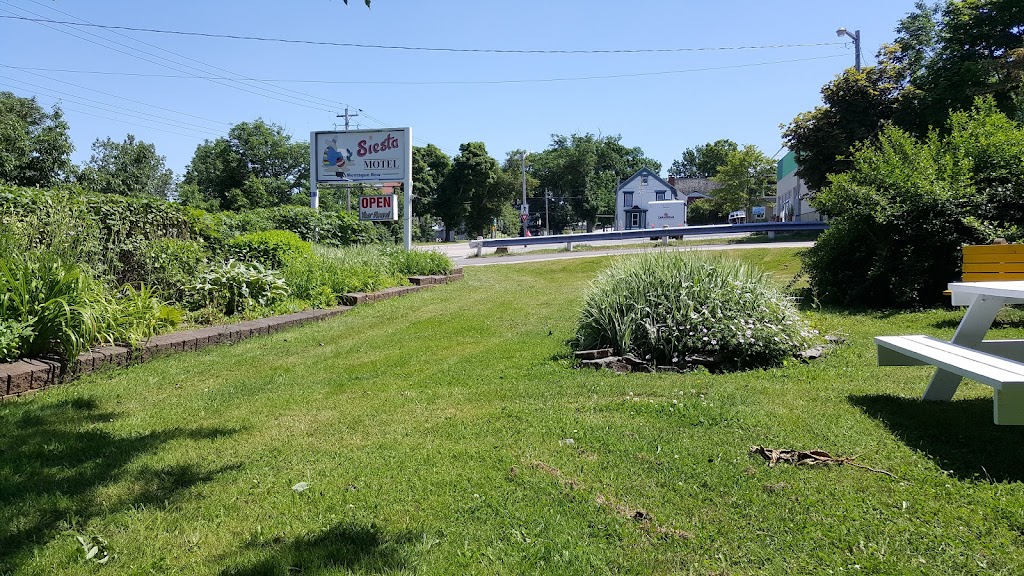 Siesta Motel | 81 Montague Row, Digby, NS B0V 1A0, Canada | Phone: (902) 245-2568
