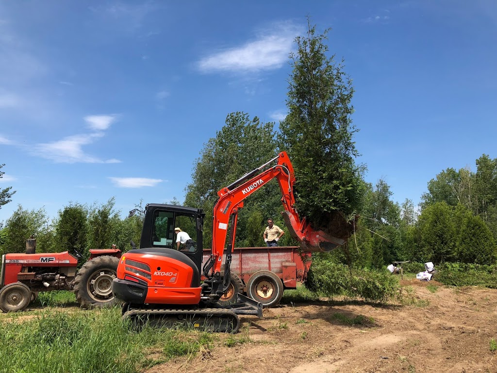 Mini Excavation GD3 Inc. | 796 4e Rang Est 796, Chemin du 4e Rang Est Acton Vale, Qc J0H-1A0 De la Route 139 faire 8,5/Km À gauche Au limite de Ste-Christine) Pas se, fier aux numéros Civique, Acton Vale, QC J0H 1A0, Canada | Phone: (450) 230-7645