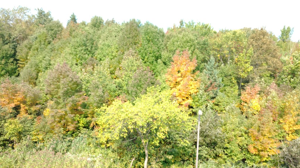 Gardens of the Aster | 6300 Rue de lAster, Québec, QC G2C 0A3, Canada | Phone: (418) 842-4152