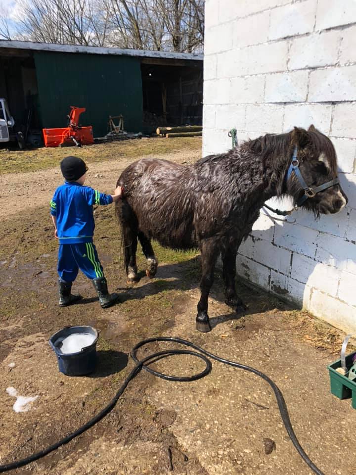 Aisling Farms | 202045, ON-21, Owen Sound, ON N4K 5N7, Canada | Phone: (519) 377-7031