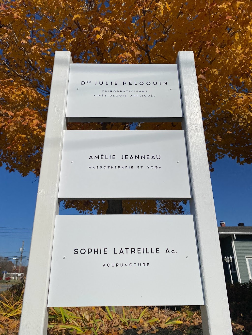 Acupuncture Eastman - Sophie Latreille acupuncteur | 13 Rue Lapointe, Eastman, QC J0E 1P0, Canada | Phone: (514) 912-7674