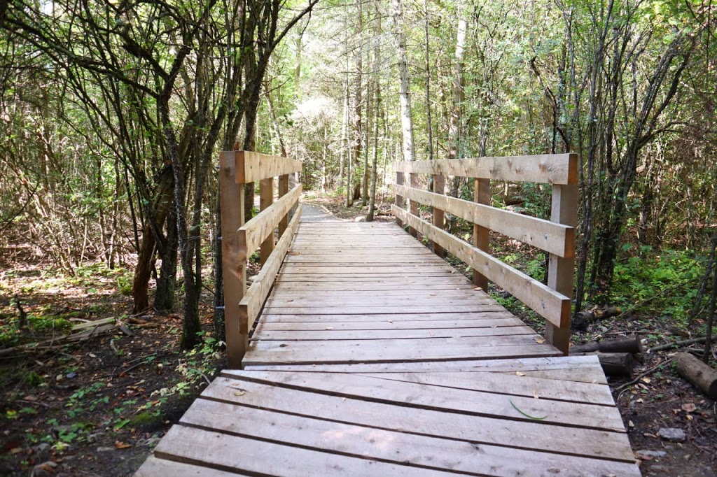 Frink Conservation Area | 381 Thrasher Rd, Plainfield, ON K0K 2V0, Canada | Phone: (613) 968-3434