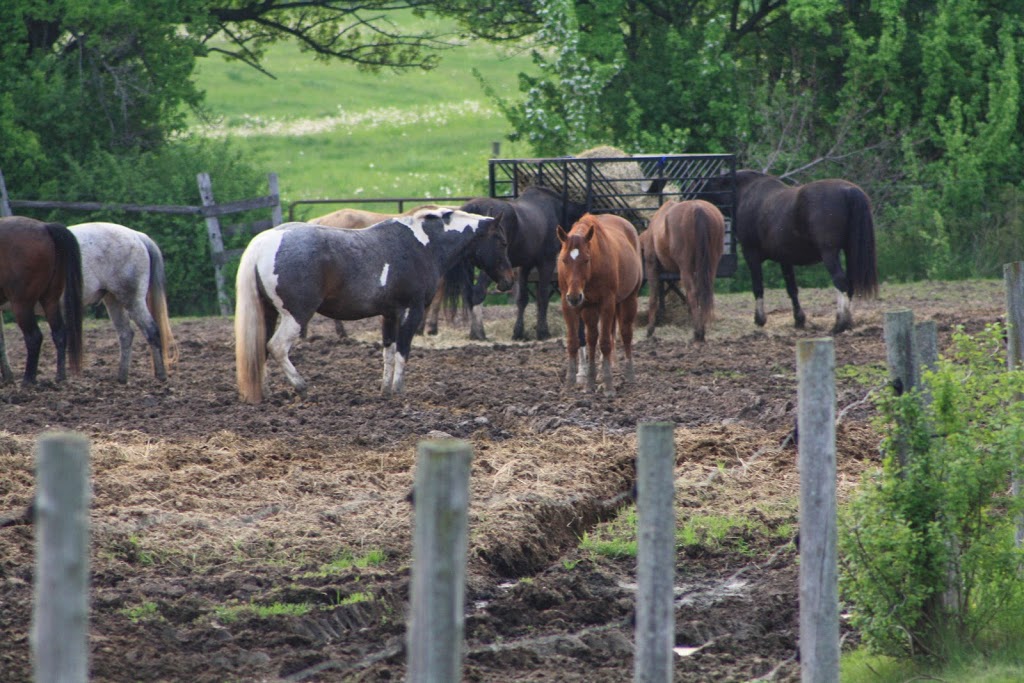 The Ranch | 2401 Burnhamthorpe Rd W, Oakville, ON L6M 4H1, Canada | Phone: (905) 469-2989