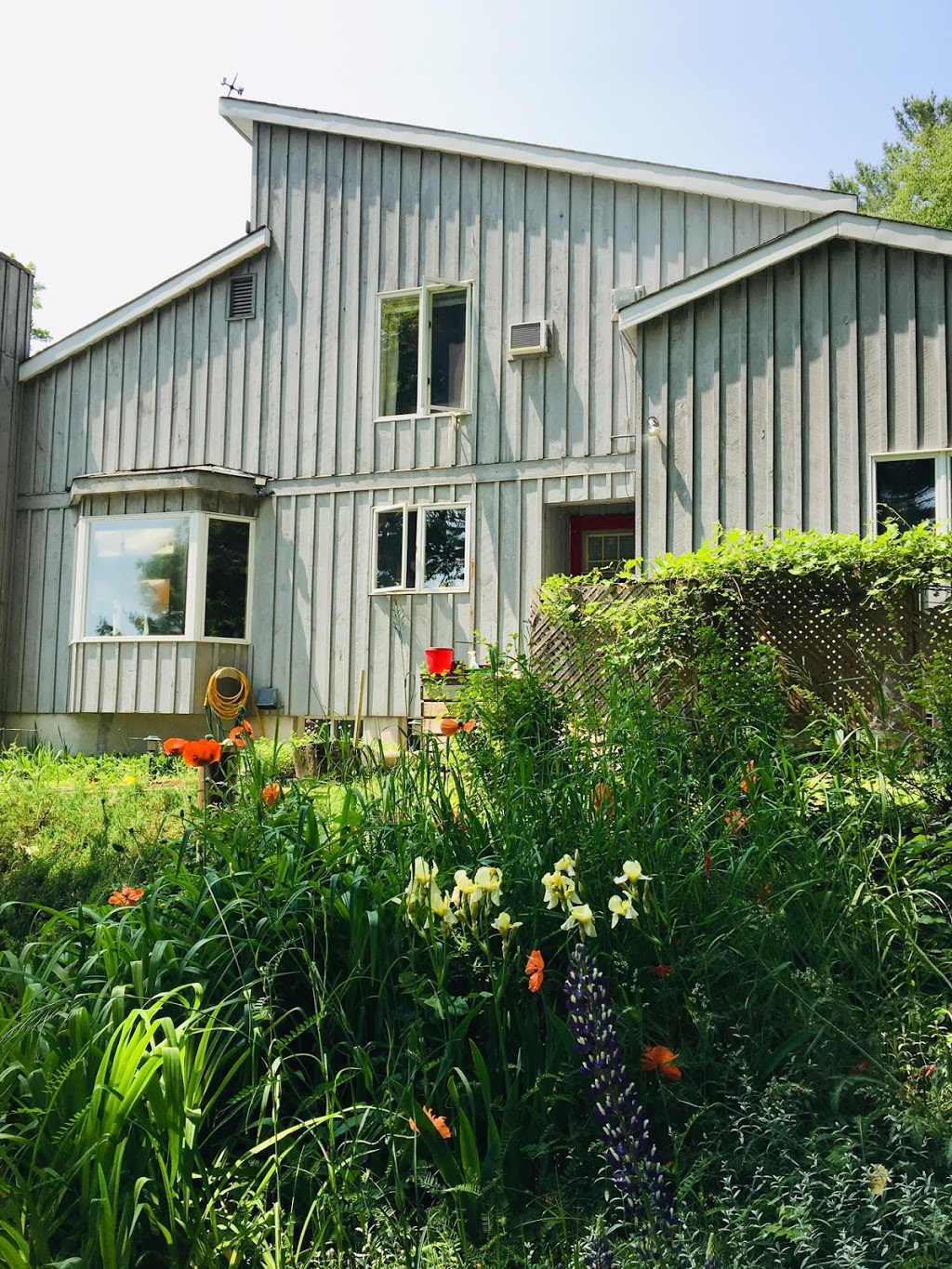 The Wynland | 5174 Calabogie Rd, Calabogie, ON K0J 1H0, Canada | Phone: (613) 295-5710