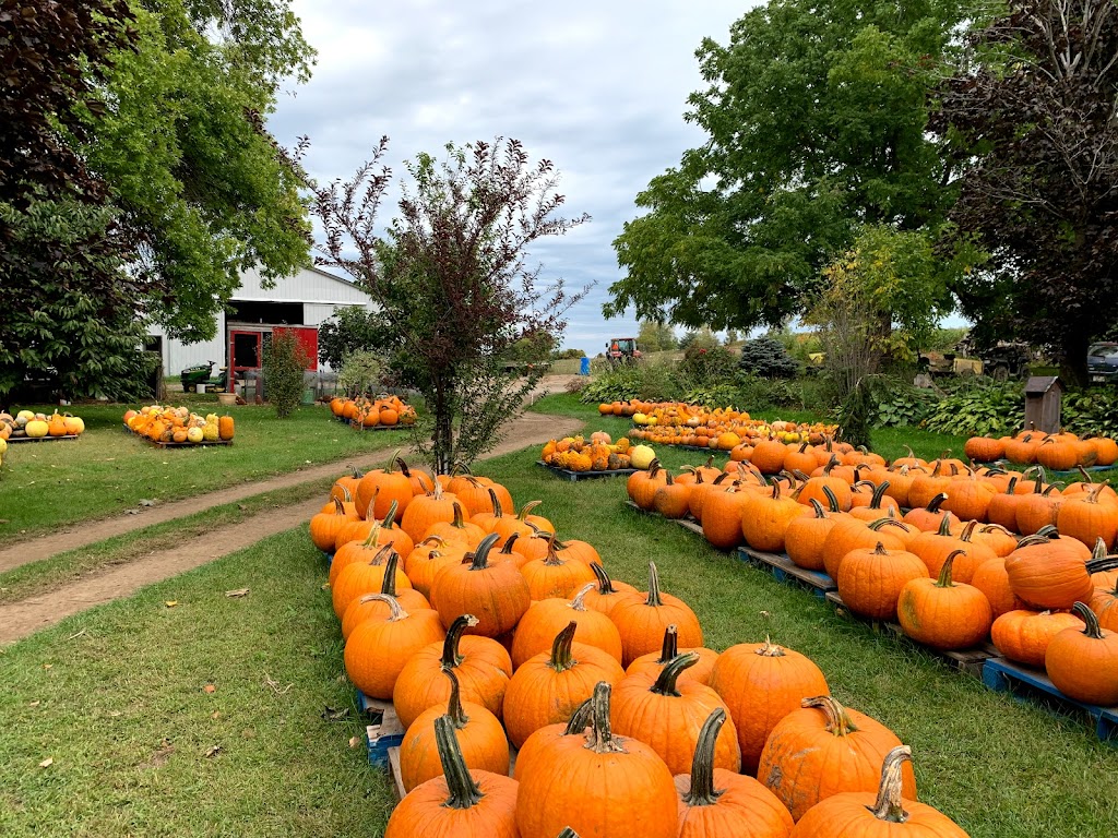 Laundry Farms | 530 Prince Edward County Rd 1, Picton, ON K0K 2T0, Canada | Phone: (613) 476-1066