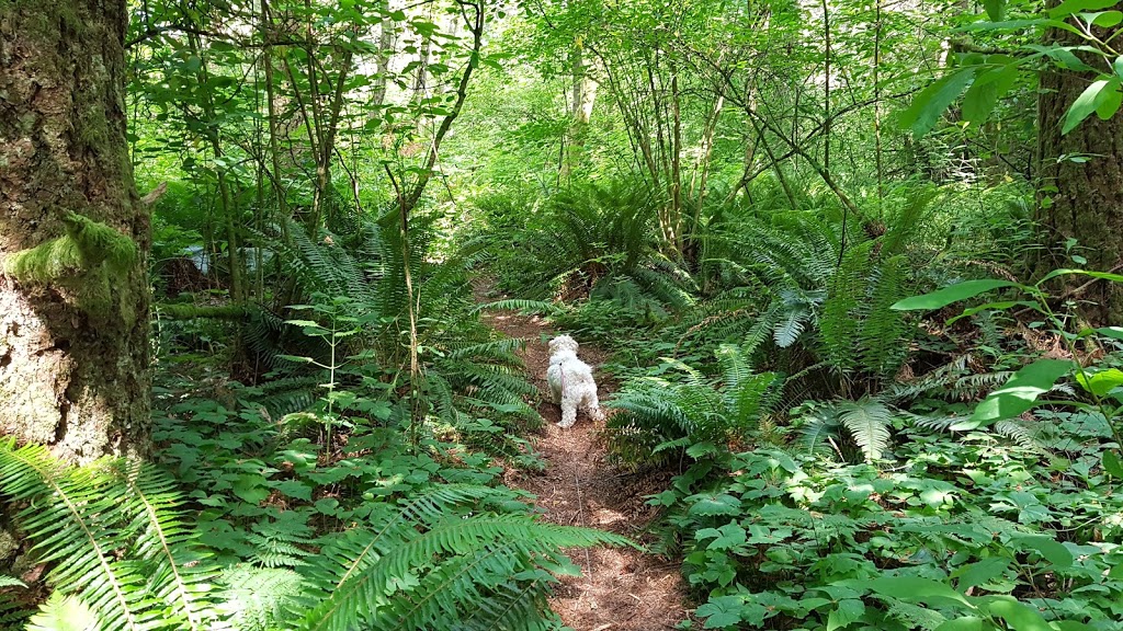 Langley municipal natural park | Langley Twp, BC V2Z 2W5, Canada
