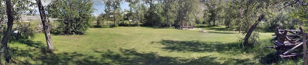 T L Bar Ranch | Highway 585, Trochu, AB T0M 2C0, Canada | Phone: (403) 442-2207
