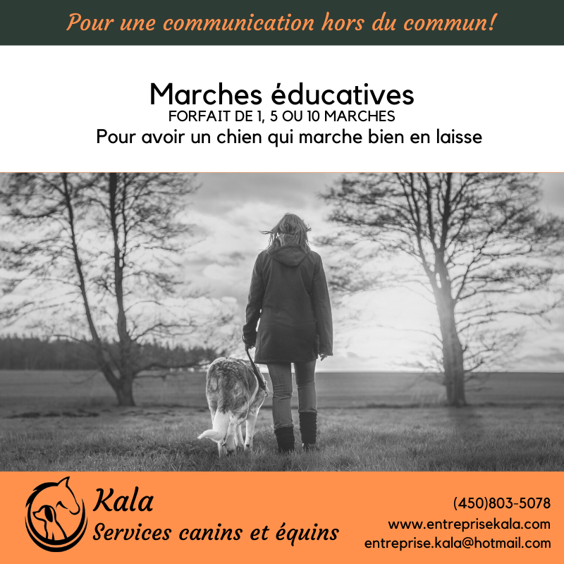 Kala, Services Canins et Équins - Éducation et Dressage- Laval | 368 Rue de Villandraut, Laval, QC H7K 3R2, Canada | Phone: (450) 803-5078