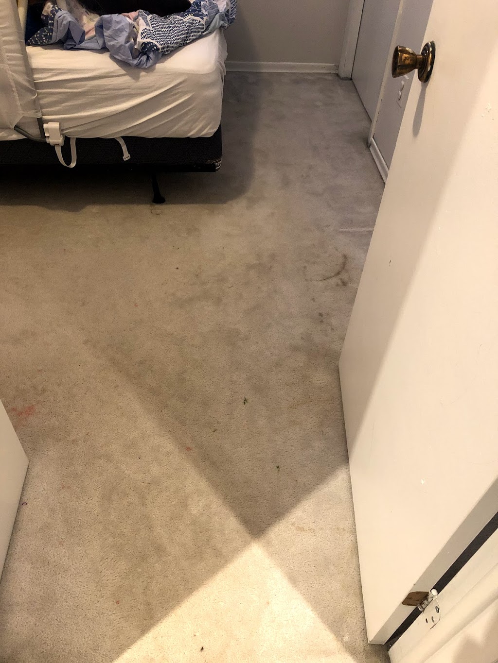 A-Z CITY CLEAN - Carpet, Sofa, Rug,Mattress Cleaning Toronto | 1274 Gerrard St E, Toronto, ON M4L 1Y7, Canada | Phone: (416) 890-1625