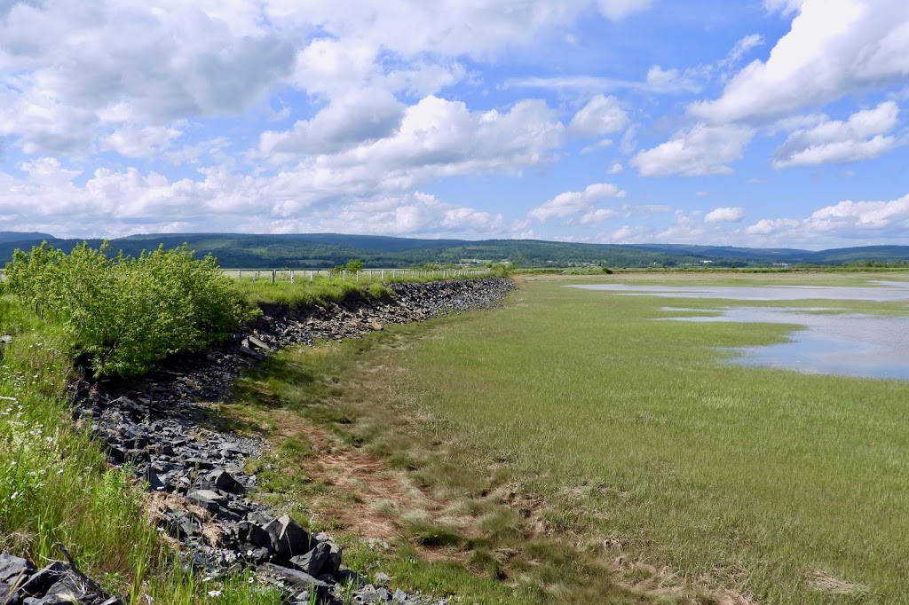 Anderson Hollow Lighthouse | Shepody Dam Rd, Hopewell Hill, NB E4H 3M8, Canada | Phone: (800) 561-0123