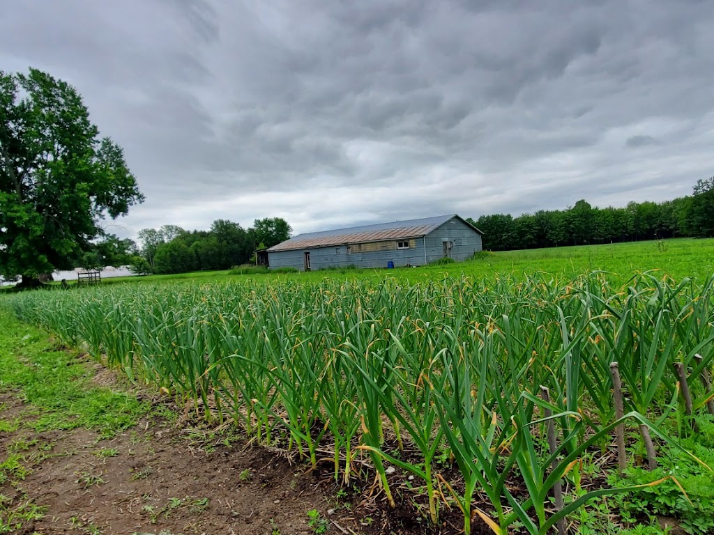 Ferme Joyal et Frères | 12 Rang du Bois-de-Maska, Saint-François-du-Lac, QC J0G 1M0, Canada | Phone: (514) 616-1436
