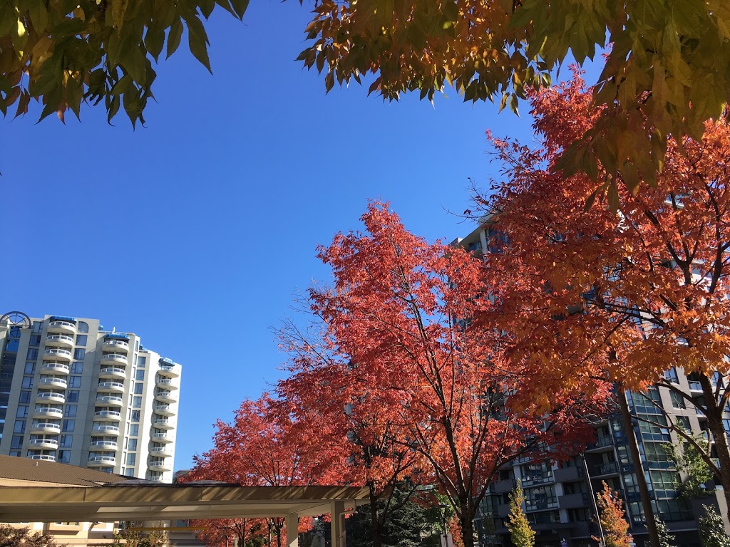 Minoru Residence | 7333 Gollner Ave, Richmond, BC V6Y 1Y4, Canada | Phone: (604) 244-5300